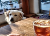 데이트코스 썸네일이미지